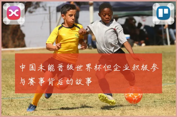 中国未能晋级世界杯但企业积极参与赛事背后的故事